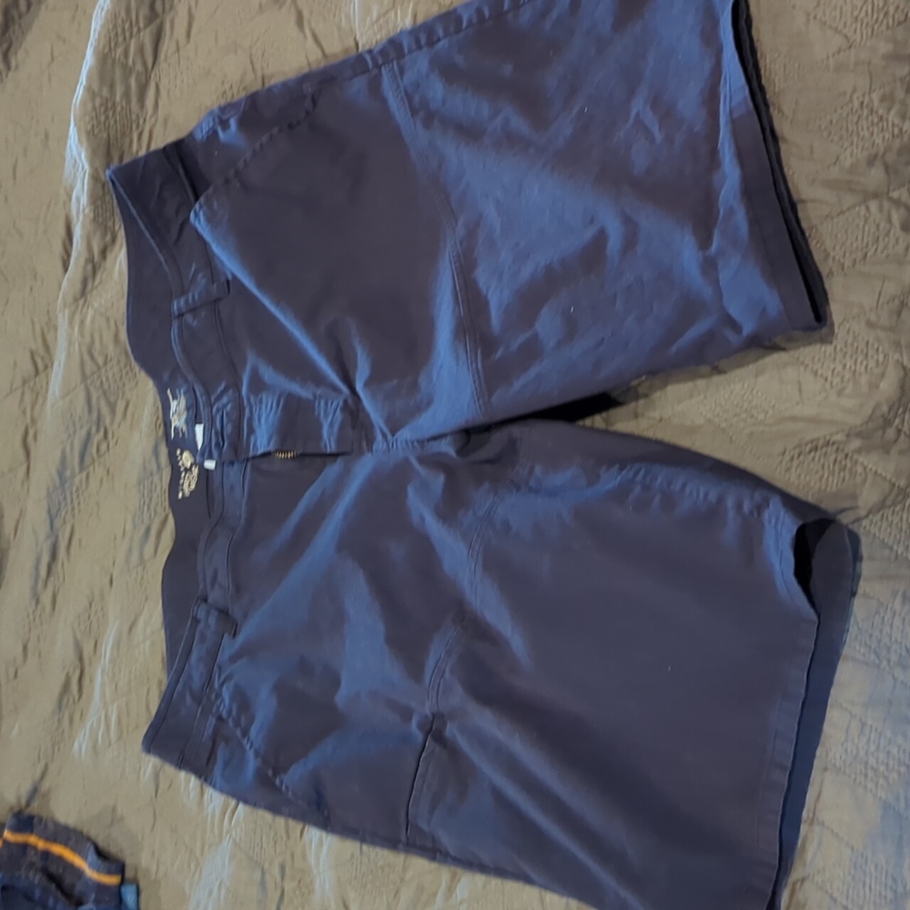 Men's mountain hardware navy shorts, size 38